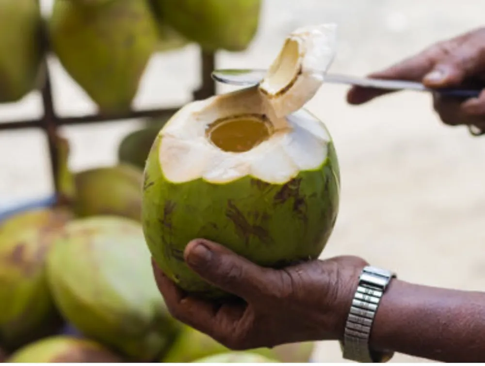Coconut Water